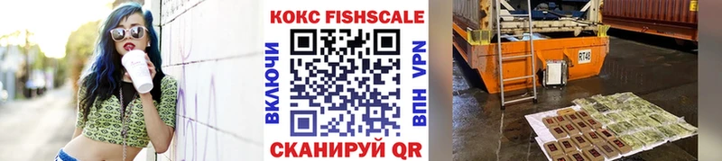 купить наркотики цена  Лагань  Кокаин FishScale 