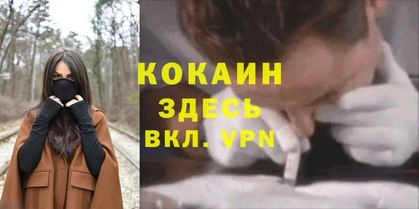 2c-b Алзамай