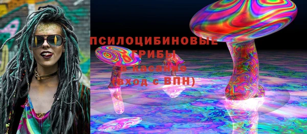 спайс Алексин