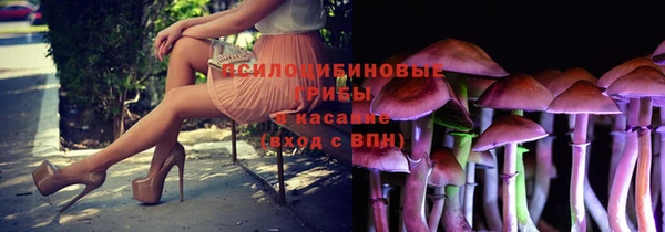 2c-b Алзамай