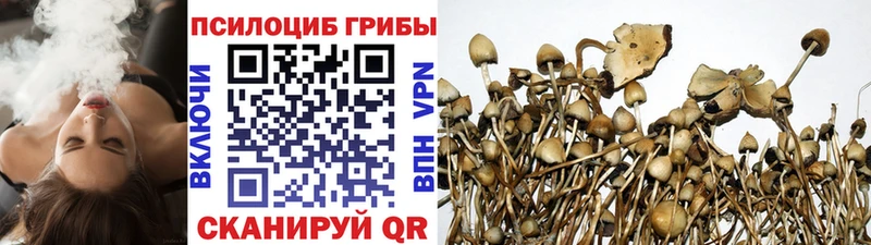 гидра маркетплейс  даркнет сайт  Лагань  Галлюциногенные грибы Psilocybe 